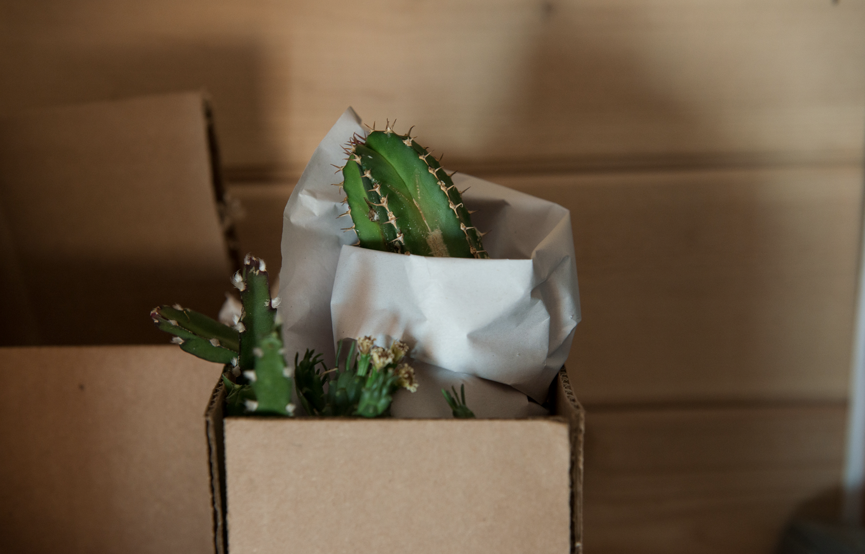 Permalien de l'image intégrée