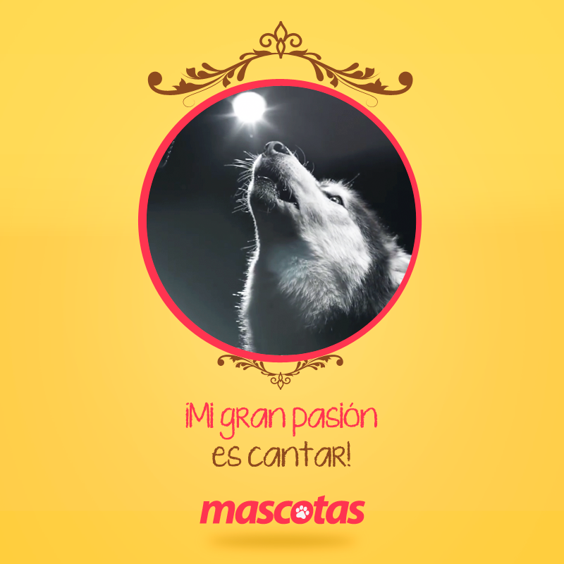 MascotasET's tweet photo. http://t.co/O0YAOAUJ4f http://t.co/inz9jIJzJy