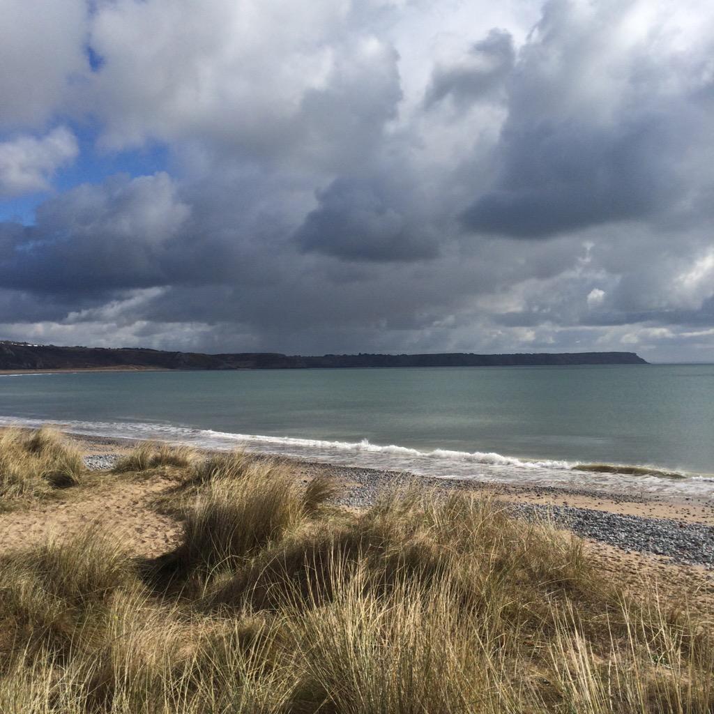 christa_warwick's tweet photo. Gower #gg4010 http://t.co/xIISXWopt9