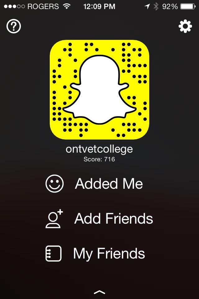 biannitelli's tweet photo. “@OntVetCollege: Snapchat from canine liver surgery #happeningnow #vetmed http://t.co/ykv8qvR5Tu”add to watch our amazing OVC surgical team!