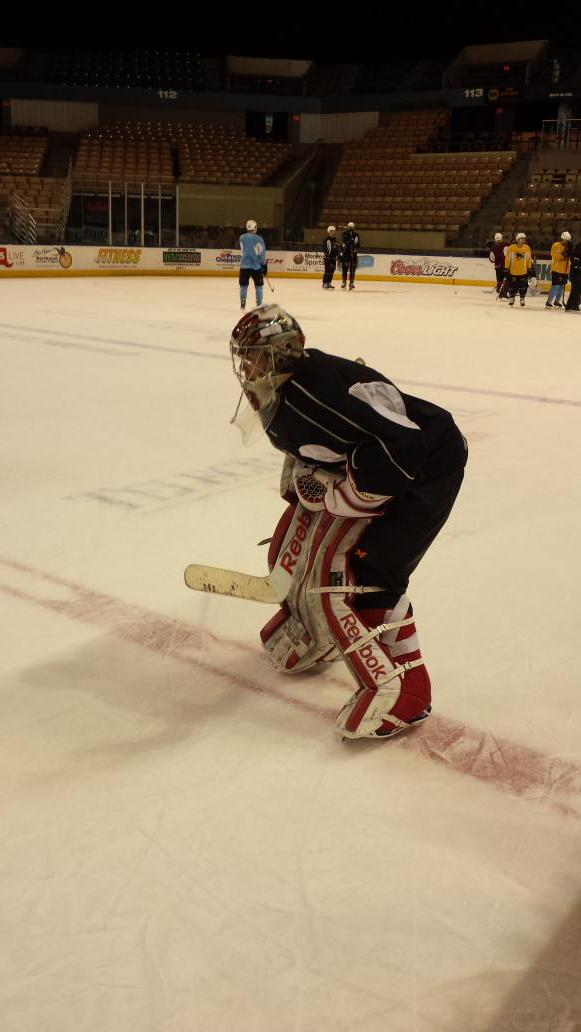 The San Jose Sharks have signed Wisconsin free-agent goalie Joel Rumpel ...