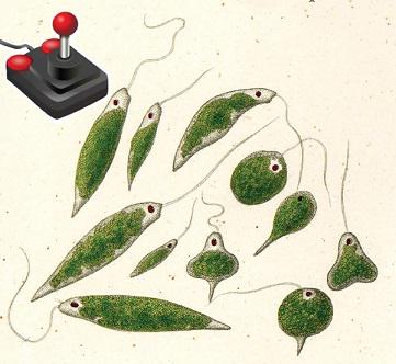 PLOS Biology tweet media