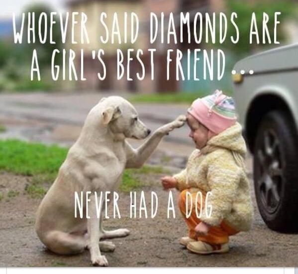 diffurence's tweet photo. ❤️❤️❤️ http://t.co/pqxj5iW3Tg