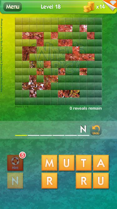 CommonDamSense's tweet image. I need your help on this level of #WhatsThePic! Play on iOS or Android: WhatsThePicApp.com