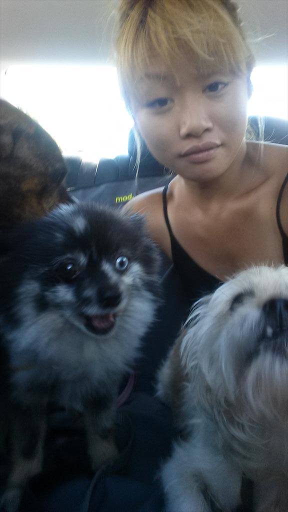 TinaSoal's tweet photo. Just another day in sunny #eLAye w/ my dawgs http://t.co/YGaZXgjs22