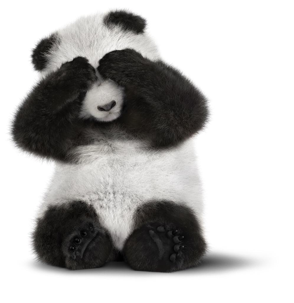 KtStuffco's tweet photo. Definitely picked Telus when I was younger because of the cute animals not the price! #ECON1110 #nonpricecompetion http://t.co/SKq0eyWCoU