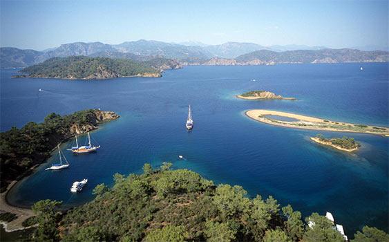 tr724com's tweet photo. Göcek'teki her iki koyun ihalesini aynı kişi kazandı 

http://t.co/7wi432VHOq http://t.co/3kiPkTwSX3