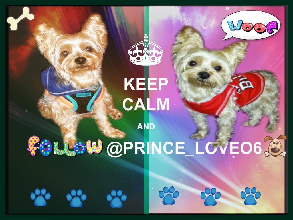 Mily116's tweet photo. #KeepCalmAndFolloW ↘ @PRINCE_LOVEO6🐾
🐶🌻☀🌈🌹🐶 http://t.co/WCruaqSlI0