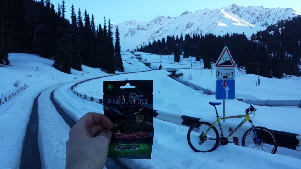 tutschel's tweet image. When the going gets tough, the tough get @AngusDry. The choice of champions. 2350m alt., Tien Shan Mts., Kazakhstan.