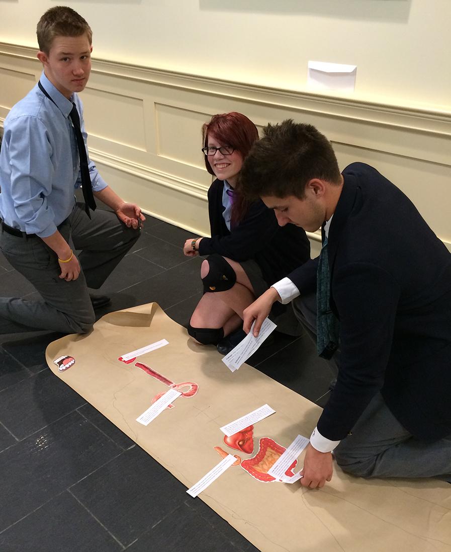 ashburycollege's tweet image. Hallway anatomy assignment #spaceforlearning