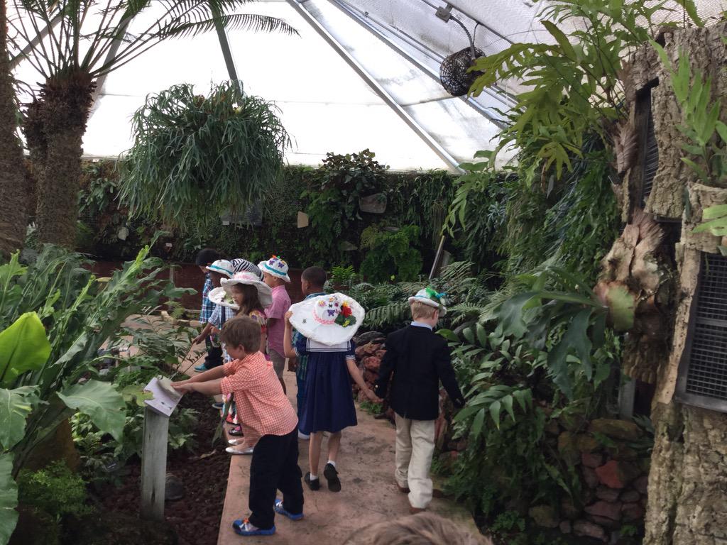 stmkindergarten's tweet photo. Kindergarten had a wonderful time at the Botanical Gardens and Tea Party yesterday! @stmsaints http://t.co/RIos2N0FSf