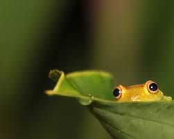AGerminder's tweet photo. How I feel about social media: Wide-eyed. #AudRev15 #NewTechSM http://t.co/TikkBB8dIh