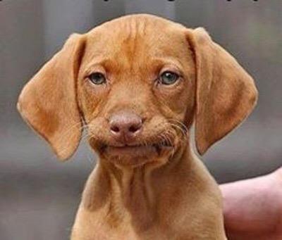 herearts's tweet photo. An image to capture my personal feeling about new social media? #AudRev15 #newtechSM http://t.co/h0gK9pwgbO