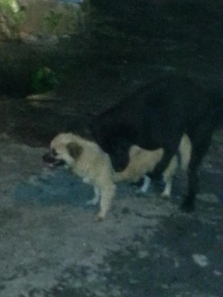 Bahagia itu sederhana