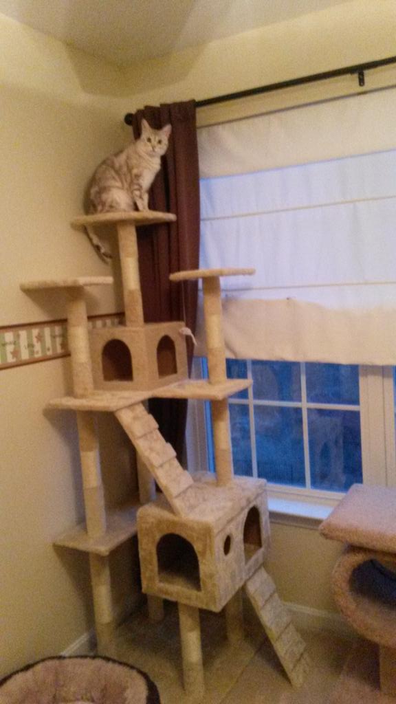 Olivia Sefchok tweet media