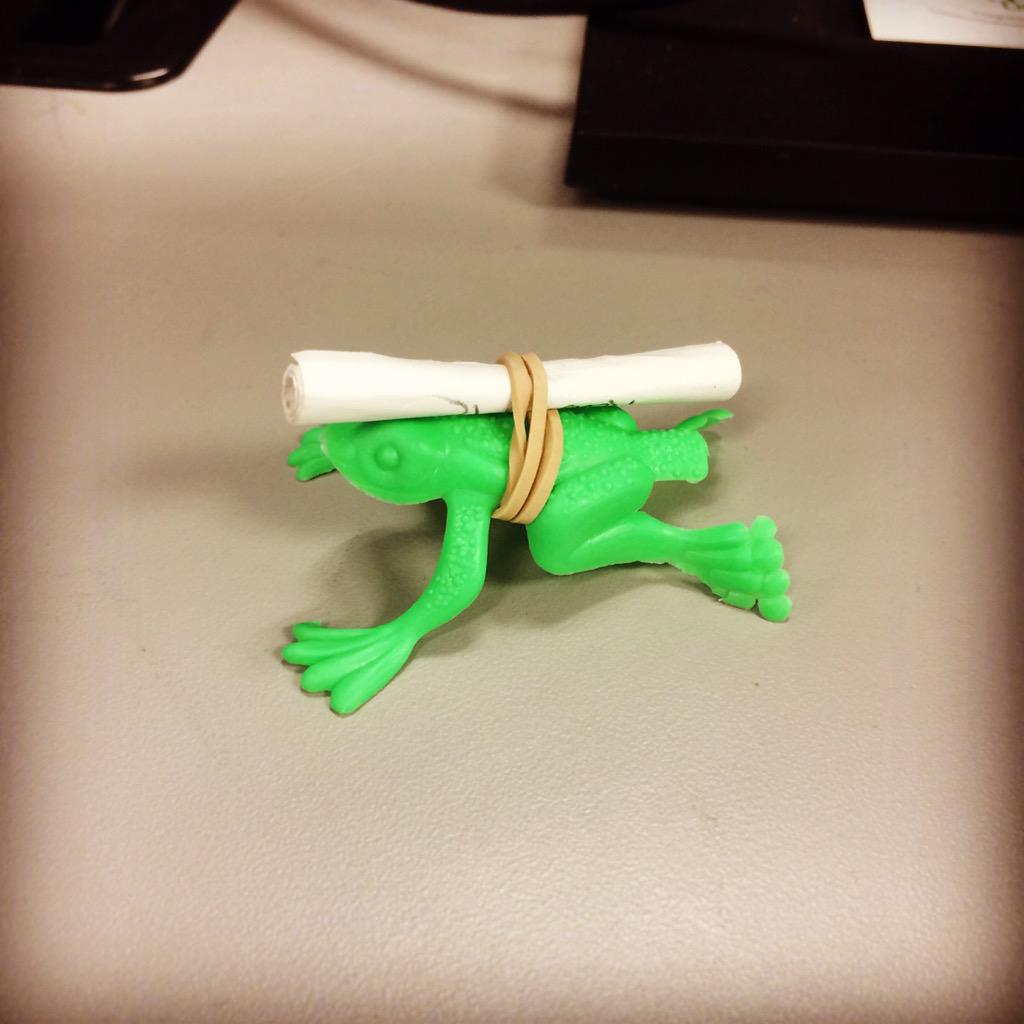 LucasDroessler's tweet image. #amplifrog