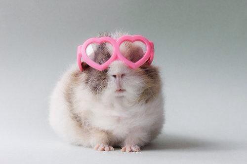 StumblerVideos's tweet photo. Cant see the haters when Ive got my love glasses on http://t.co/SD1ukhnmK4