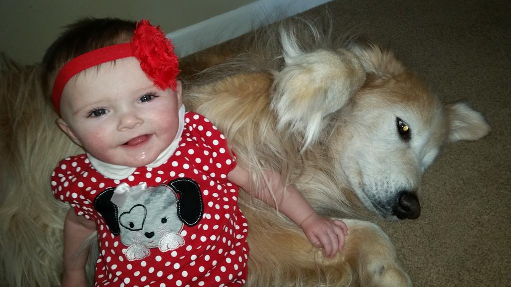 skdevries's tweet photo. #shutterflypaws #ClaraKay #puppylove http://t.co/LILH4Xx2B0