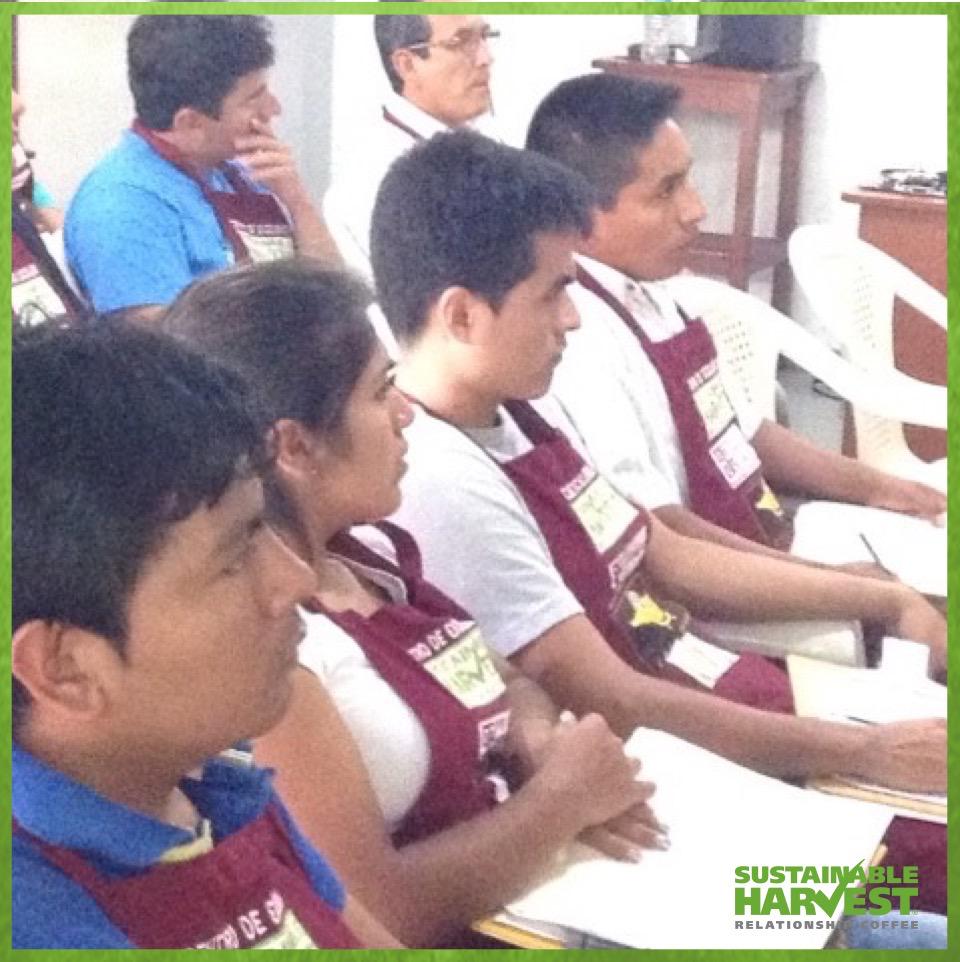SustHarv's tweet photo. Our origin staff at work training a new generation of cuppers in Northern Peru! #ImpactAtOrigin http://t.co/JWQ1Zx5sVO