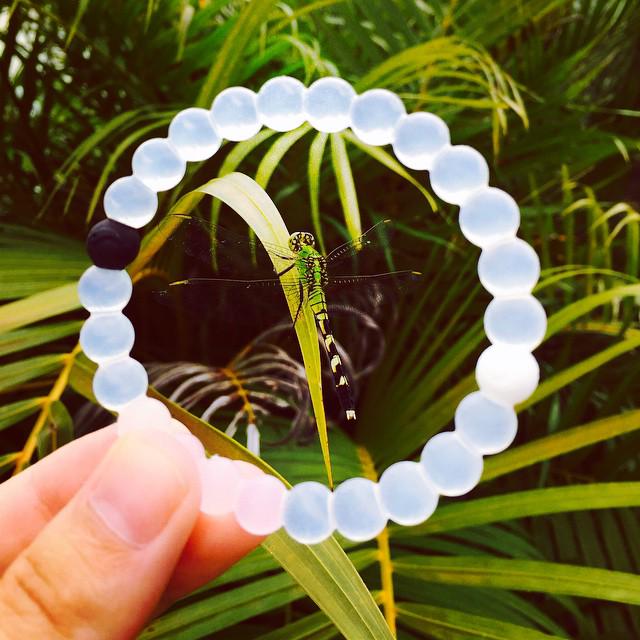 AlexPWest's tweet photo. My Lokai bracelet came today, and I love it! #FindYourBalance #LiveLokai @livelokai http://t.co/CUbKLcsE3O