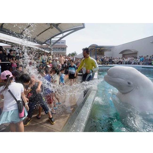 yisucrist's tweet photo. "¡bienvenidos a mi puto mundo marino pekeños hijos d puta!" http://t.co/ZXIcNpE8EW