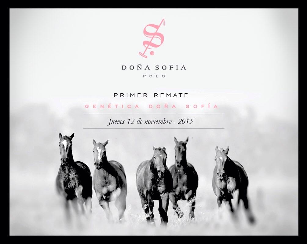 Daniel Sammartino tweet media