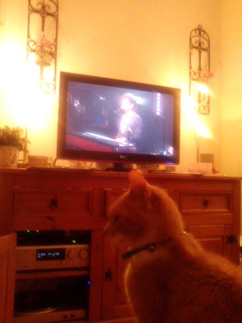 <a href="/julianvelard/">Julian Velard</a> my view for tonight. Relaxing with velard music. And the cat enjoys it too. #jvgoesdutch BAARN!!