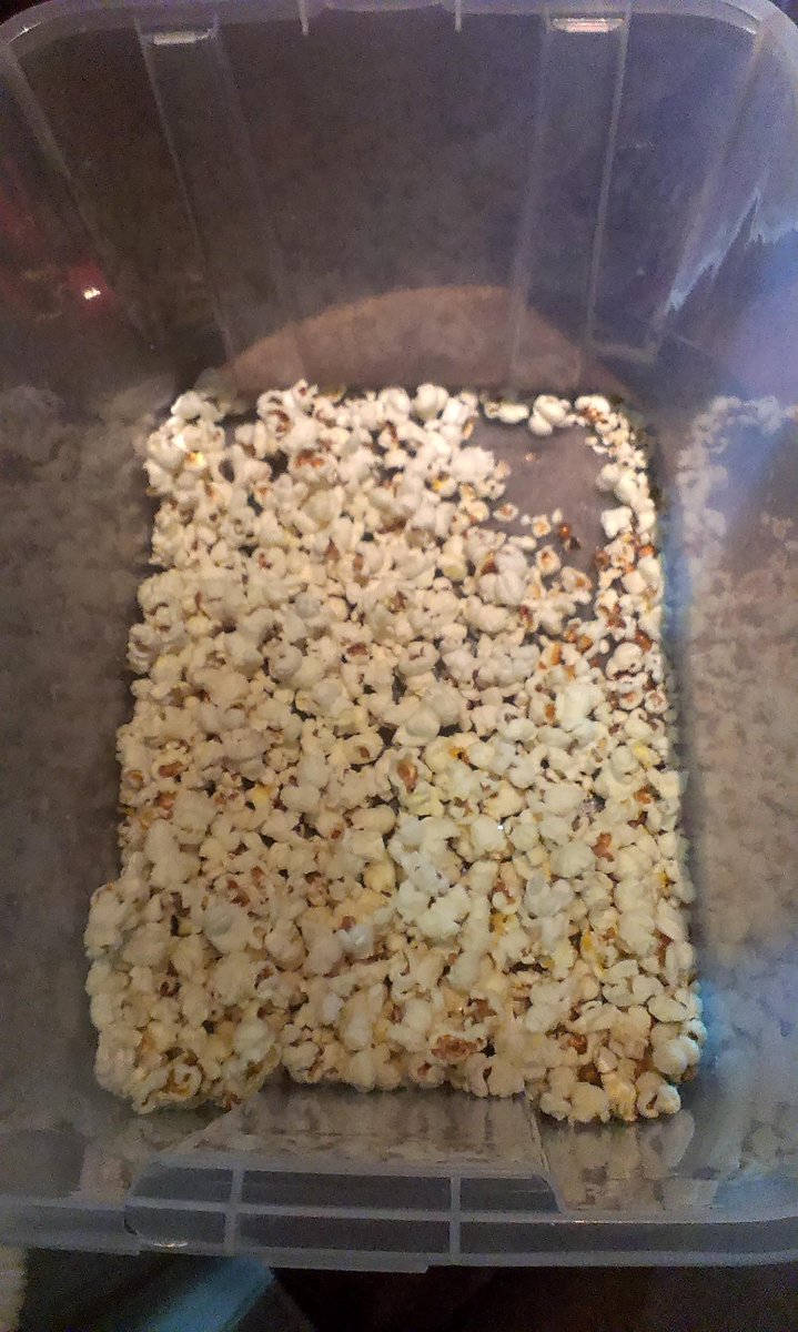 Da ist das Popcorn auch schon fast leer! Ein schöner Abend wars mit euch!