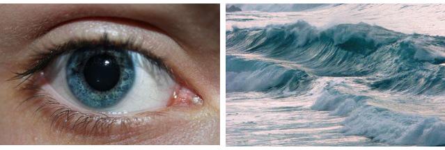 bodycompared's tweet image. 