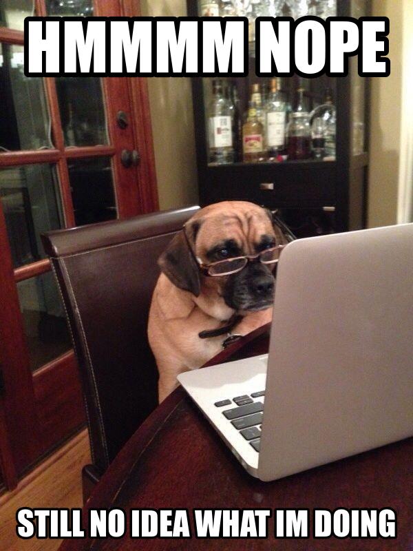 OrrorooKangaroo's tweet photo. If your dog could use a computer, they'd totally be ordering dried Kangaroo treats! http://t.co/R43Mcknvd3 http://t.co/cKHkeIUU4b