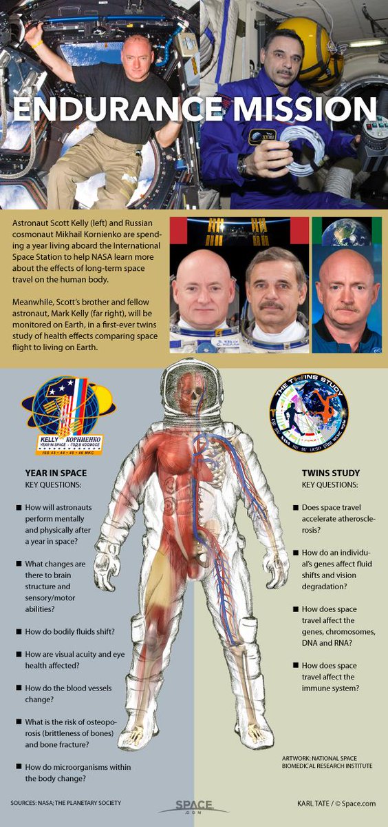Infographic via <a href="/SPACEdotcom/">SPACE.com</a> on key human body <a href="/ISS_Research/">ISS_Research</a> questions for #YearInSpace