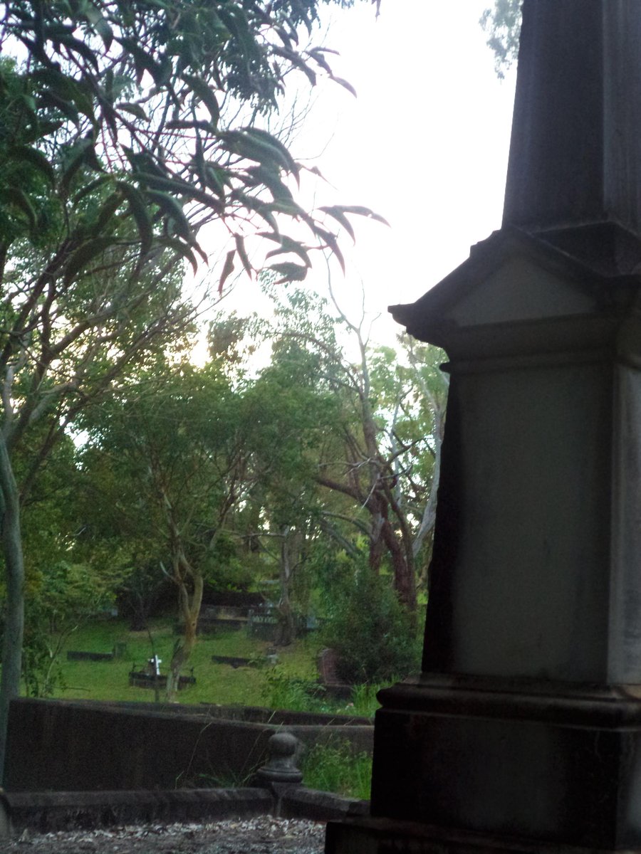 AwkwardPhotoing's tweet image. i know my photos suck.. I'm sorry I promise they'll get better /).(\