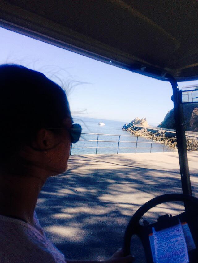 julieertz's tweet photo. Thank you @AlexBKrieger for driving kelly ash and I around Catalina :P #teamblinker http://t.co/5bytissthB