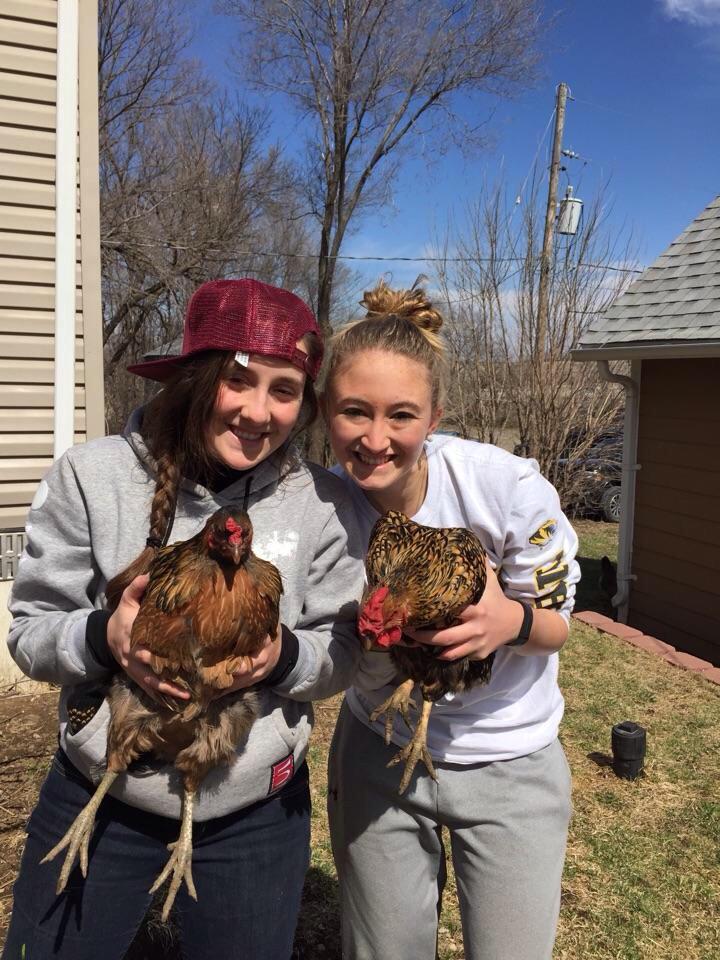 MAB_Lincoln's tweet photo. Do you even chicken? @MizzouBreaks #cluckcluck http://t.co/ausv78cT6z