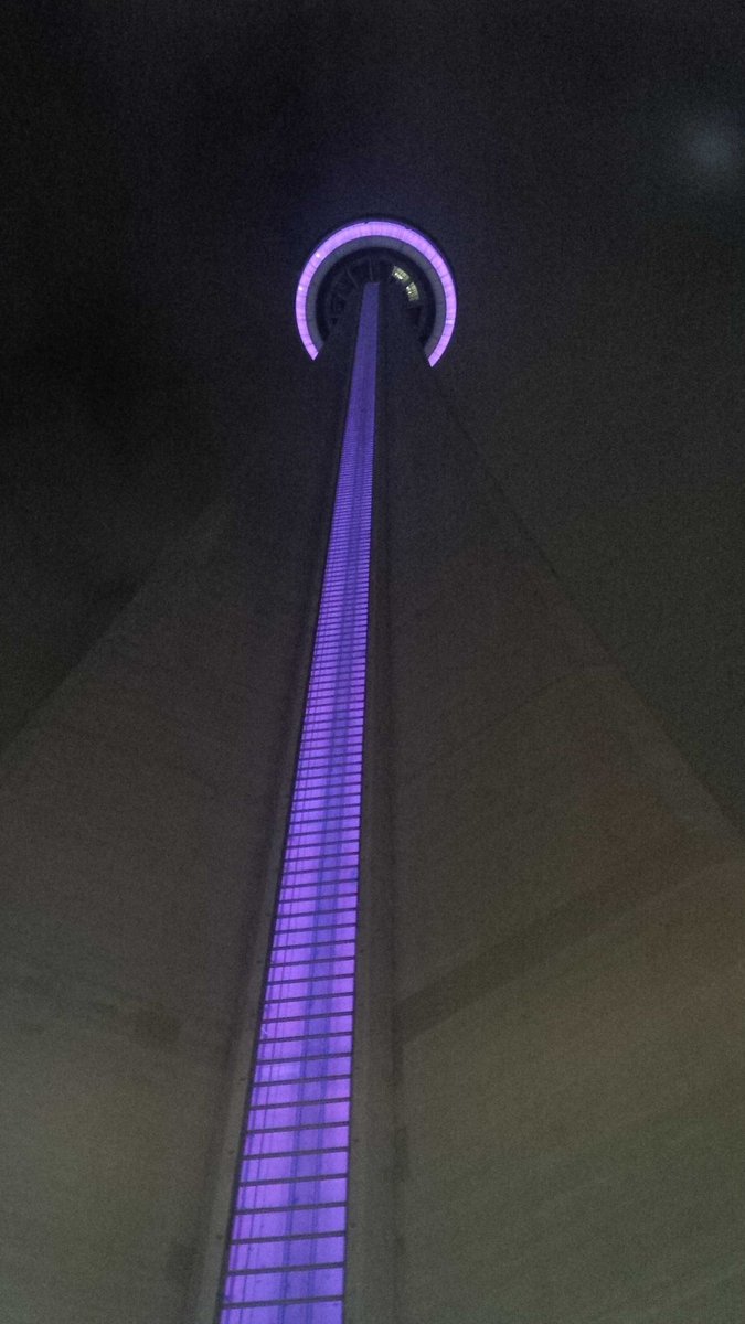 intheCabbage's tweet photo. National Engineering Month annual #PurplePower event with @OSPE @nemontario http://t.co/2gxieVr1sS