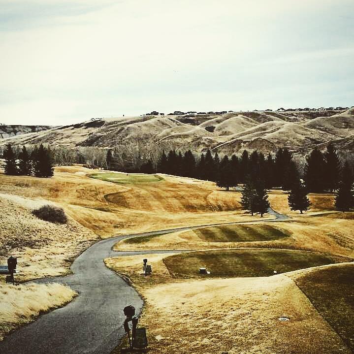 Chinook_Andre's tweet photo. #6 208 7 iron 20 right of the green and let it float in (might be windy?) http://t.co/9wwJDCm117
