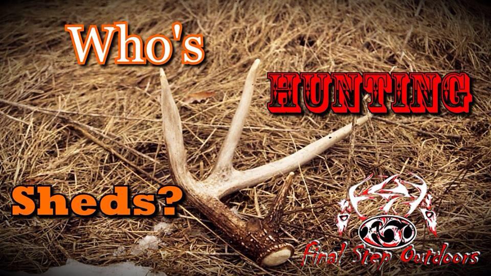 JoshSpelas's tweet photo. Who's shed hunting!?!?! @FinalStepOutdrs http://t.co/Zbj6ztAvAn
