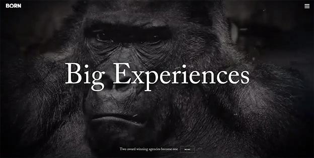 Jotform's tweet image. The big web design trends for 2015 snip.ly/m9Cz #webdesign #websites