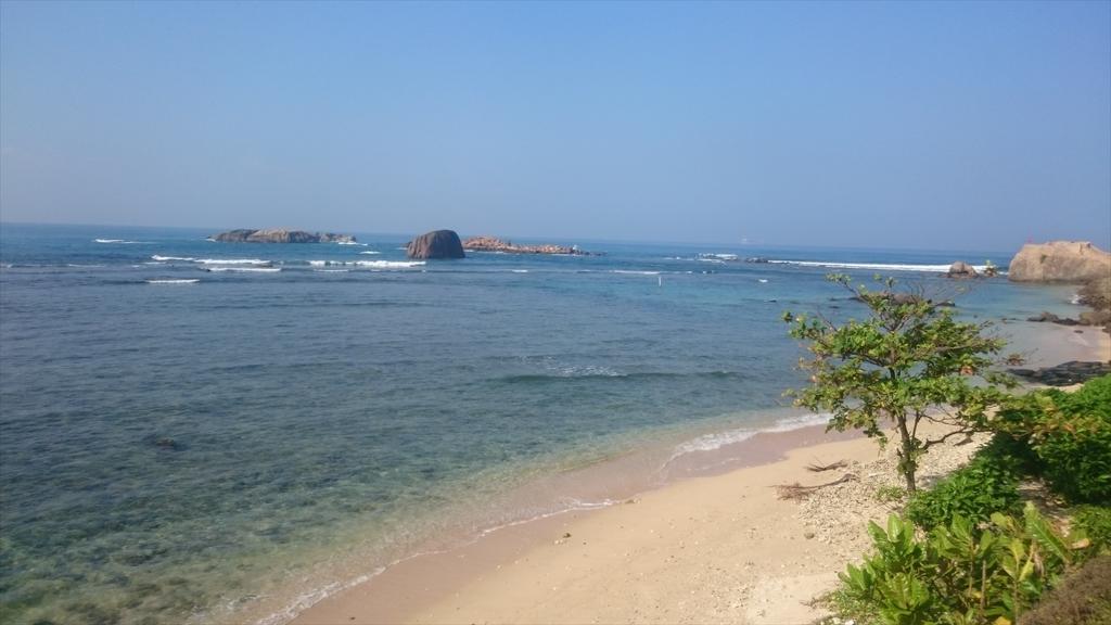 Sun shining in galle great morning