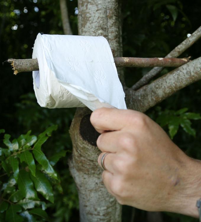 NZ Wilderness tweet media