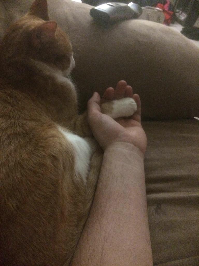 Graver15's tweet photo. @adunn_ox when Friends is so intense you got to hold your Katz paw #Katz #Friends http://t.co/Am4Gfs9wwS