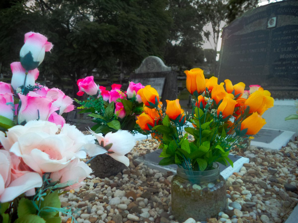 AwkwardPhotoing's tweet image. ~Flowers for the Dead~