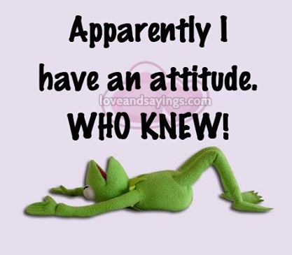 PicZforYou's tweet photo. #attitude #whoknew http://t.co/4ZJjXUox7M