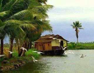 MilashAnchal tweet picture