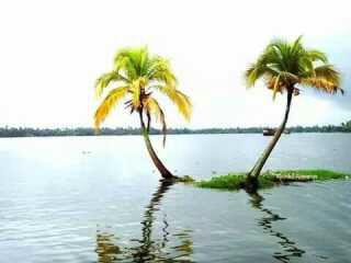 MilashAnchal tweet picture