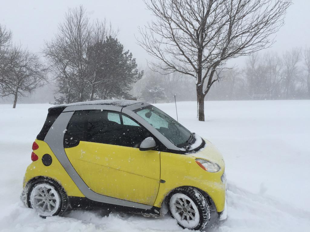 SmartCars1bflo's tweet photo. #SmartSmart101 show your smartcars off http://t.co/fpzW0cD3KZ