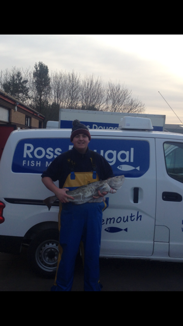 This beautiful fish is currently being filleted and will shortly be on its way to <a href="/AllantonInn/">Katrina</a> #enjoy