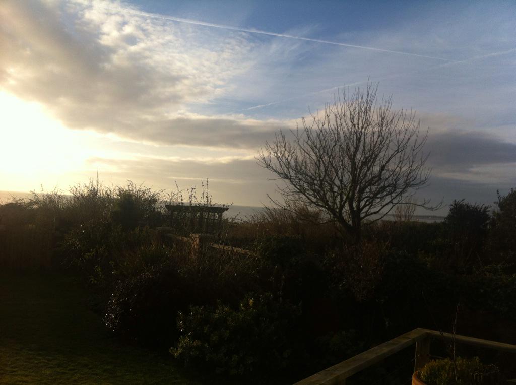 deborah_neill's tweet photo. A beautiful morning to enjoy! http://t.co/Q0uZTUQDB7