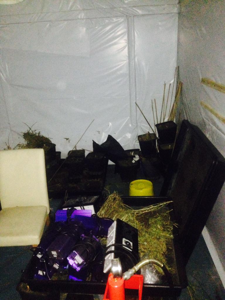 MPSBoroughBank's tweet photo. Up early this morning helping #Grange Ward with warrant on a cannabis factory in #Alscot Way #se1 http://t.co/xmlvlbIdmV