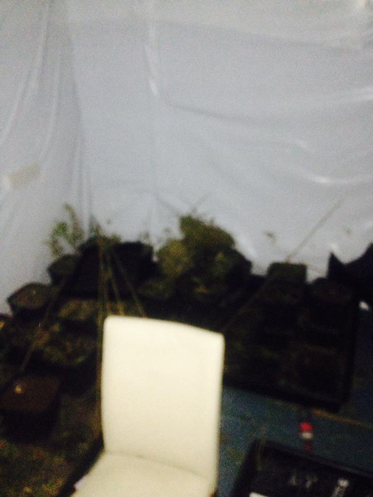 MPSBoroughBank's tweet photo. Up early this morning helping #Grange Ward with warrant on a cannabis factory in #Alscot Way #se1 http://t.co/xmlvlbIdmV